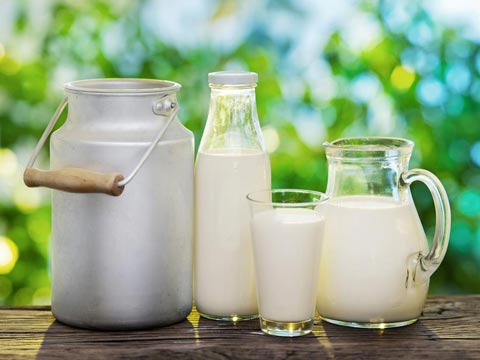 consumer-nps-study-of-a-subscription-based-dairy-player
